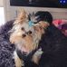 Rhonda Constant - Facebook