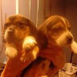 Rhonda Cooley - @rhonda.cooley1 - Instagram