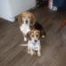 Rhonda Cooley - Facebook