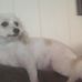 Rhonda Coon - Facebook