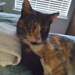 Rhonda Coone - @rhondacoone - Instagram