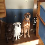 Rhonda Cope - Facebook