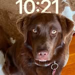 Rhonda Cope - @rhondacope4 - Instagram