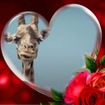 Rhonda Cotterill - @rhondacotterill - Instagram
