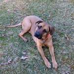Rhonda Cramer - @r.cramer - Instagram