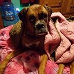 Rhonda Walters-Cramer - @walterscramer - Instagram