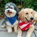 Rhonda Crane - Facebook