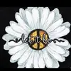 rhondacrebbs - @rhondacrebbs - TikTok