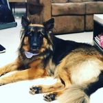 Angelita Bolacell - @rhondacristinabolacell - Instagram