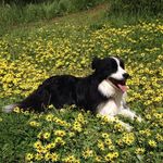 Rhonda Crowley - @rhonda.crowley.75 - Instagram