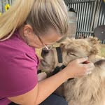 Rhonda Crowley - @rhonda.bartley.58 - Instagram
