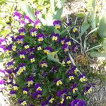 Rhonda Cummins - @rcummins2 - Instagram