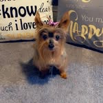 Rhonda Day Stubbs - @ladydaystubbs_ - Instagram