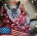 Rhonda Dickenson - Facebook