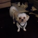 Rhonda Dickson - @rhonda122071 - Instagram