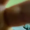 rhondadixon2001 - @rhondadixon2001 - TikTok