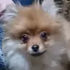 RhondaDowns - @rhondadownsqnojsrkr - TikTok