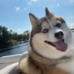 Rhonda Durfee - @durfette37 - Instagram