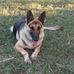 Rhonda Ebert - Facebook