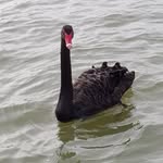 Rhonda - @rhonda.eckermann53 - Instagram