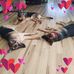 Ronda Edinger - Facebook