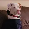 rhondaelderkin - @rhondaelderkin - TikTok