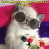 rhondaestes4 - @rhonda.estes5 - TikTok