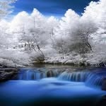 Rhonda Miller-Falls - @silkskirt - Instagram