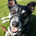 Ronda Farrington - @_ronda_farrington_ - Instagram