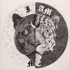 Rhonda Fields - @rhondafields876 - TikTok