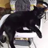 rhondafagg - @rhondafagg - TikTok