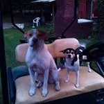 Rhonda Forrester - @rhonda.forrester1209 - Instagram