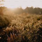 Rhonda Galvan - @rhondagalvan937033 - Instagram