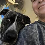 Rhonda Bottemiller Glick - @rhonda.b.glick - Instagram