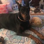 Rhonda Goodman Willis - @rhondagoodmanwillis - Instagram