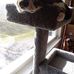 Rhonda L. Grider - Facebook
