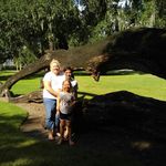 Rhonda Hamlin - @rhonda.1966 - Instagram