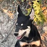 Rhonda Harrell - @banana_boat_fisher - Instagram