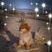 Ronda Hedges - Facebook
