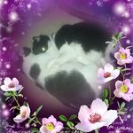 Rhonda Herron - @rhonda.herron.16 - Instagram