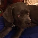 Rhonda High - @rhonda.high - Instagram