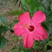 Rhonda Hooker - Facebook