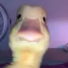 Rhonda - @user927717323632 - TikTok