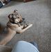 Rhonda Howe - Facebook
