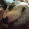 RhondaJessicaHice - @rhondajessicahice - TikTok