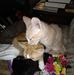 Rhonda Gayle Inman - Facebook