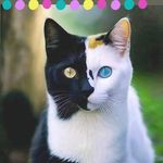 Rhonda Inman - @rhonda.inman.90 - Instagram