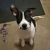 user9031629996386 - @rhonda.inman - TikTok