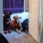 Rhonda Storer Irwin - @irwinrhonda - Instagram