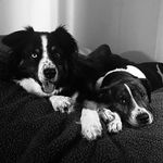 Rhonda Isaacson - @rhonda.isaacson - Instagram